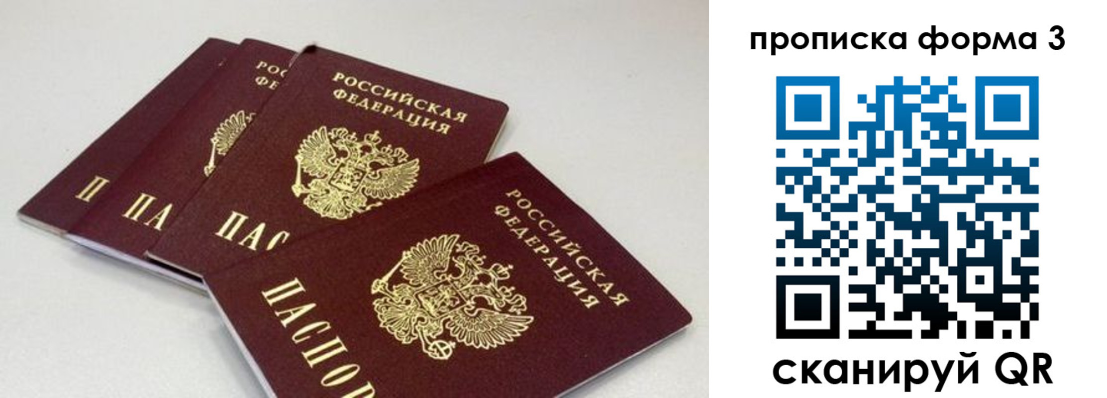 прописка в квартире в Сосновом Бору